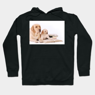 Labrador puppy with his mother and books Hoodie